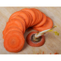 Stainless Steel Cubic Radish, Turnips, Carrots Slicing Machine FC-311